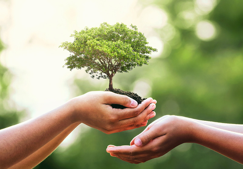 Z6·尊龙凯时「中国」承诺